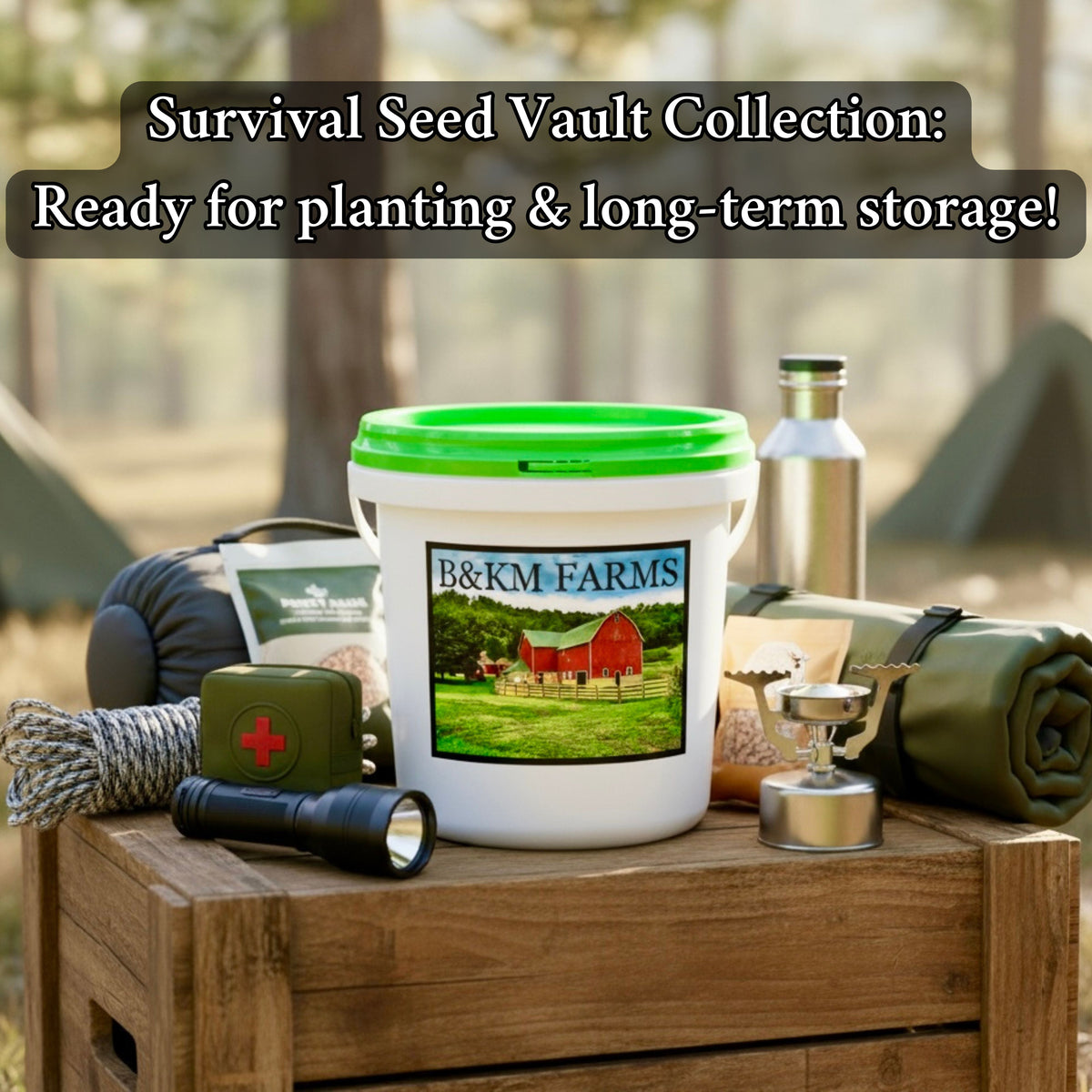 30 Seed Packet Vault: Heirloom, Non-GMO Vegetable Seed Packets