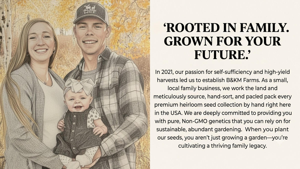 30 Seed Packet Vault: Heirloom, Non-GMO Vegetable Seed Packets