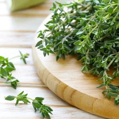 Thyme Seeds - Heirloom Non-GMO Culinary Herb - Thymus vulgaris Seed Packet for Herb Garden & Cooking